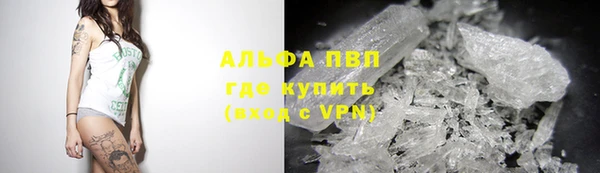 трава Новозыбков