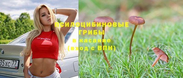 мдпв Новокубанск