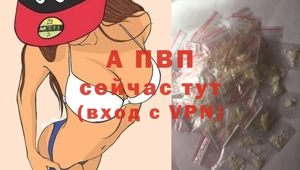 трава Новозыбков