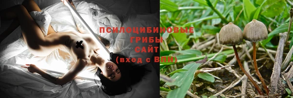 mdma Новодвинск