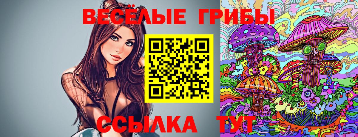 Белгород  Псилоцибиновые грибы Cubensis  Вход с VPN 